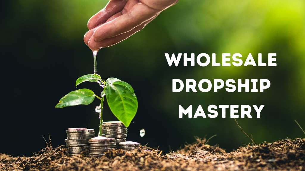 ebay dropshipping course - Wholesale Dropship Mastery