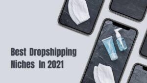 5 Best Dropshipping Niches In 2021 To Look Out For